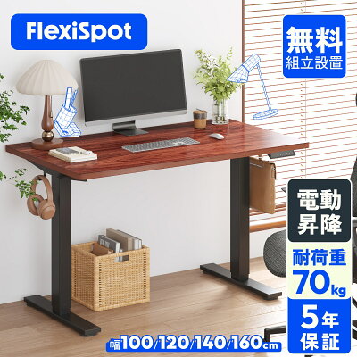 FlexiSpot EF1（メイン）：70kg耐荷重でデュアルモニター環境も可能なエントリーモデル電動昇降デスク